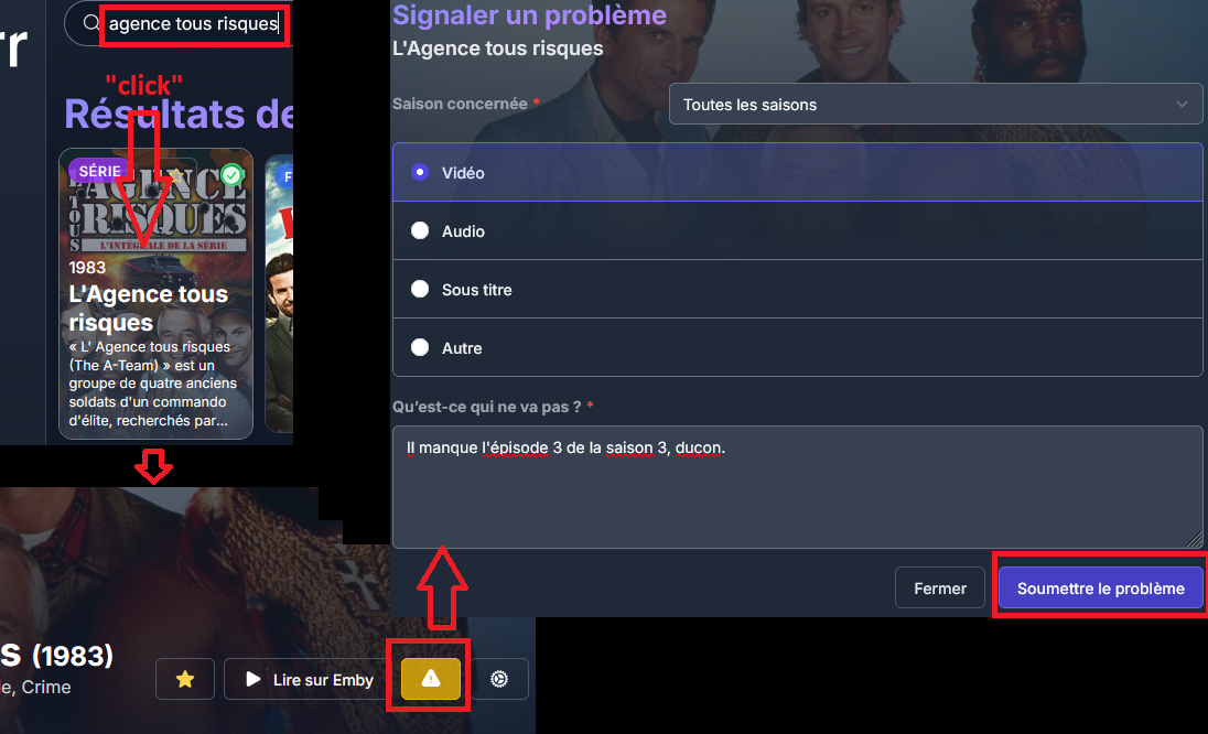 Exemple de signalement de problème sur le site des requêtes